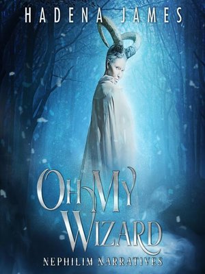 Oh My Wizard - Audiobook